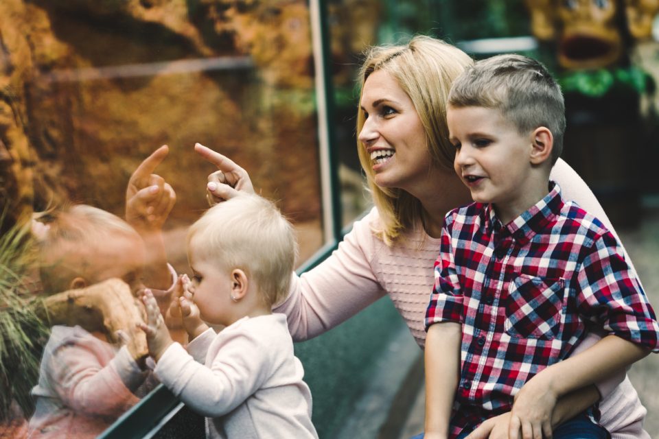 Group Tour At Scovill Zoo