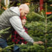 Where To Buy A Real Tree This Year