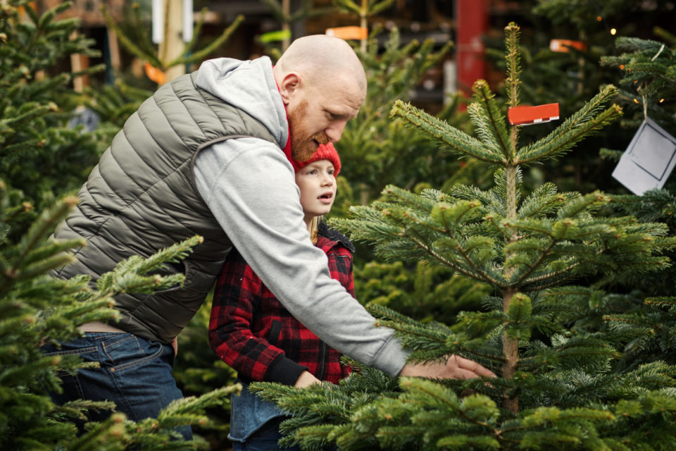 daughter and father shopping for Christmas tree