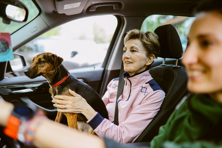 Family traveling in the car with their small pet dog.