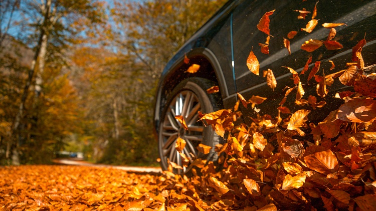 LOW ANGLE, CLOSE UP, DOF: Large 4x4 vehicle drives along a road full of beautiful brown fallen leaves. Cinematic shot of dry leaves flying up in the air as the metallic blue SUV drives through forest.